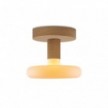 Fermaluce wooden Lamp with Dash lightbulb