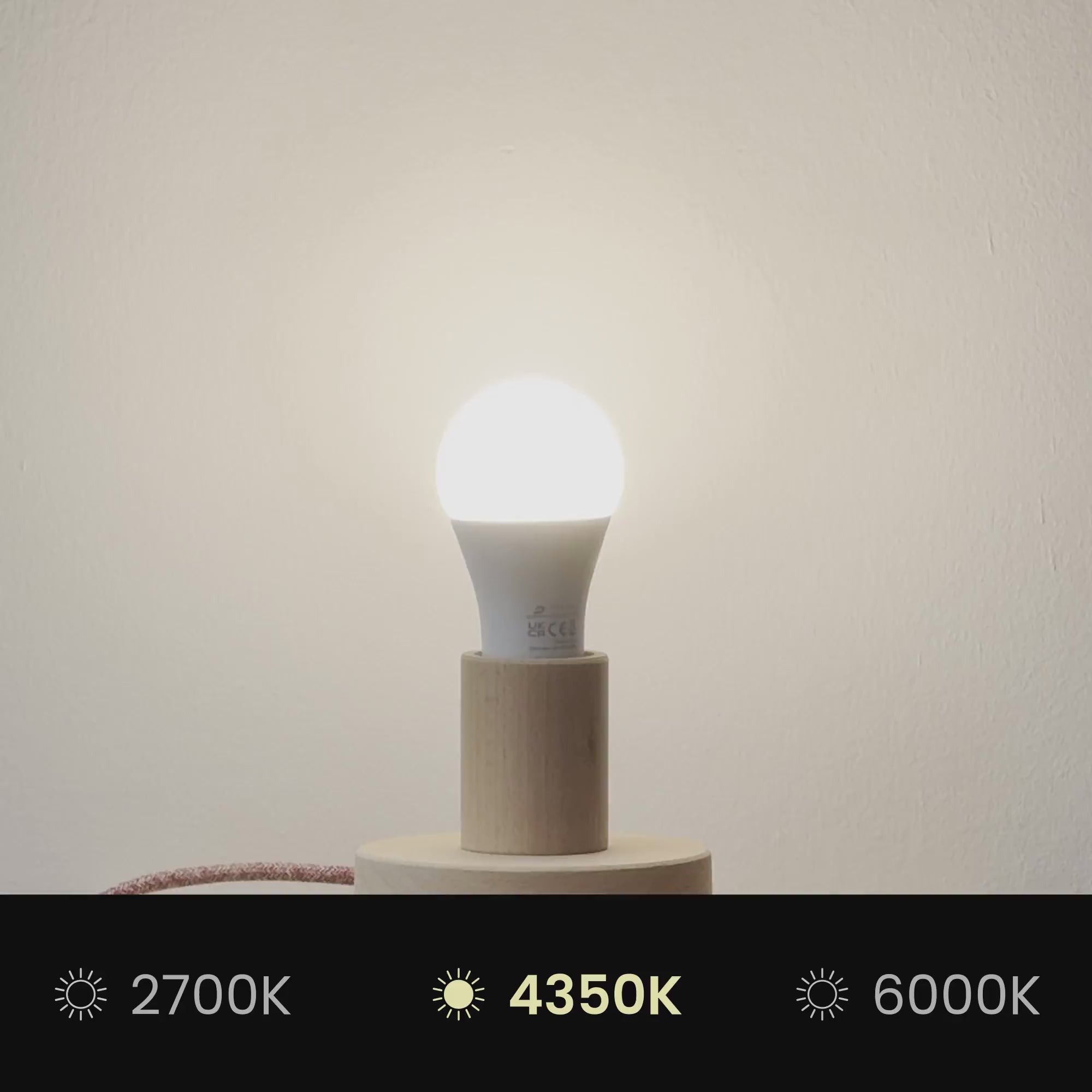 Load video: Impero S Lampshade with E27 fitting for table lamp or wall sconce - Made in Italy - Camelot Brown